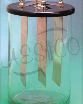 P101.001	 SIMPLE CELL