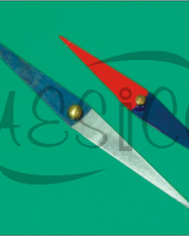 P601.011	 MAGNETIC NEEDLE