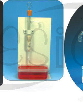 P801.041	 LIFT PUMP/ WATER PUMP