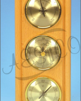 P901.028	 WEATHER STATION (SIMPLE FORM)