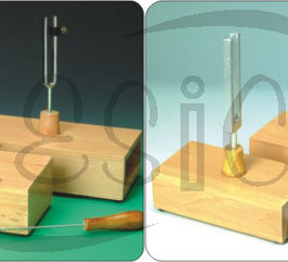 P903.002	 TUNING FORKS ON RESONANCE BOX
