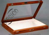 B050.17	 INSECT SETTING SHOWCASE