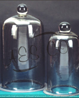 C002.06	 BELL JAR KNOBED