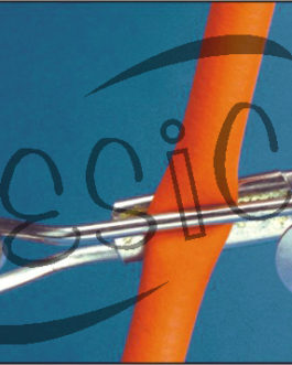 C004.04	 CLIP MOHR’S