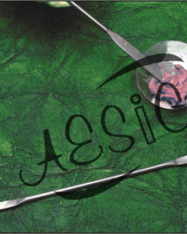 C008.111	 SPATUALLA STAINLESS STEEL