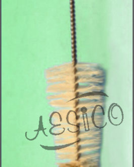 C008.16	 BRUSHES TEST TUBES