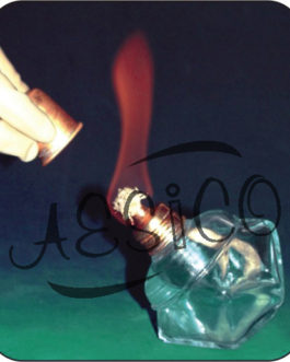 C008.77	 SPIRIT LAMP GLASS