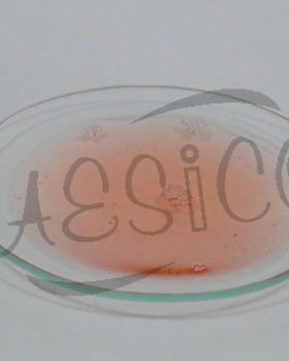 C008.84	 WATCH GLASSES