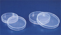 PL029.55	 PETRI DISH